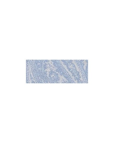 Gilet et accessoires sur mesure atelier grège tissu 61434 Grège - 1