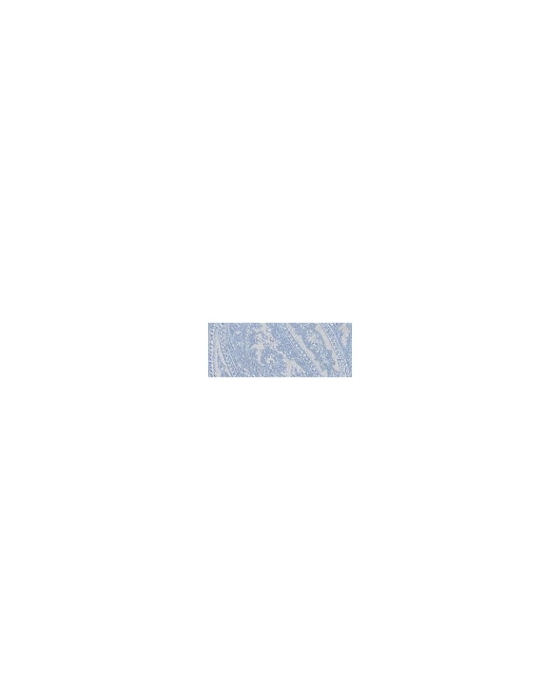 Gilet et accessoires sur mesure atelier grège tissu 61434 Grège - 1